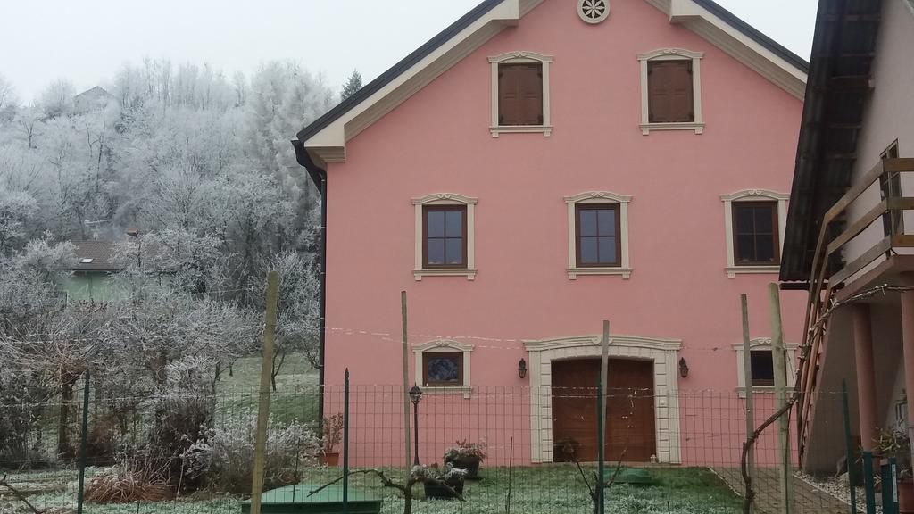 Merkež Guest House Bizeljsko Exterior foto